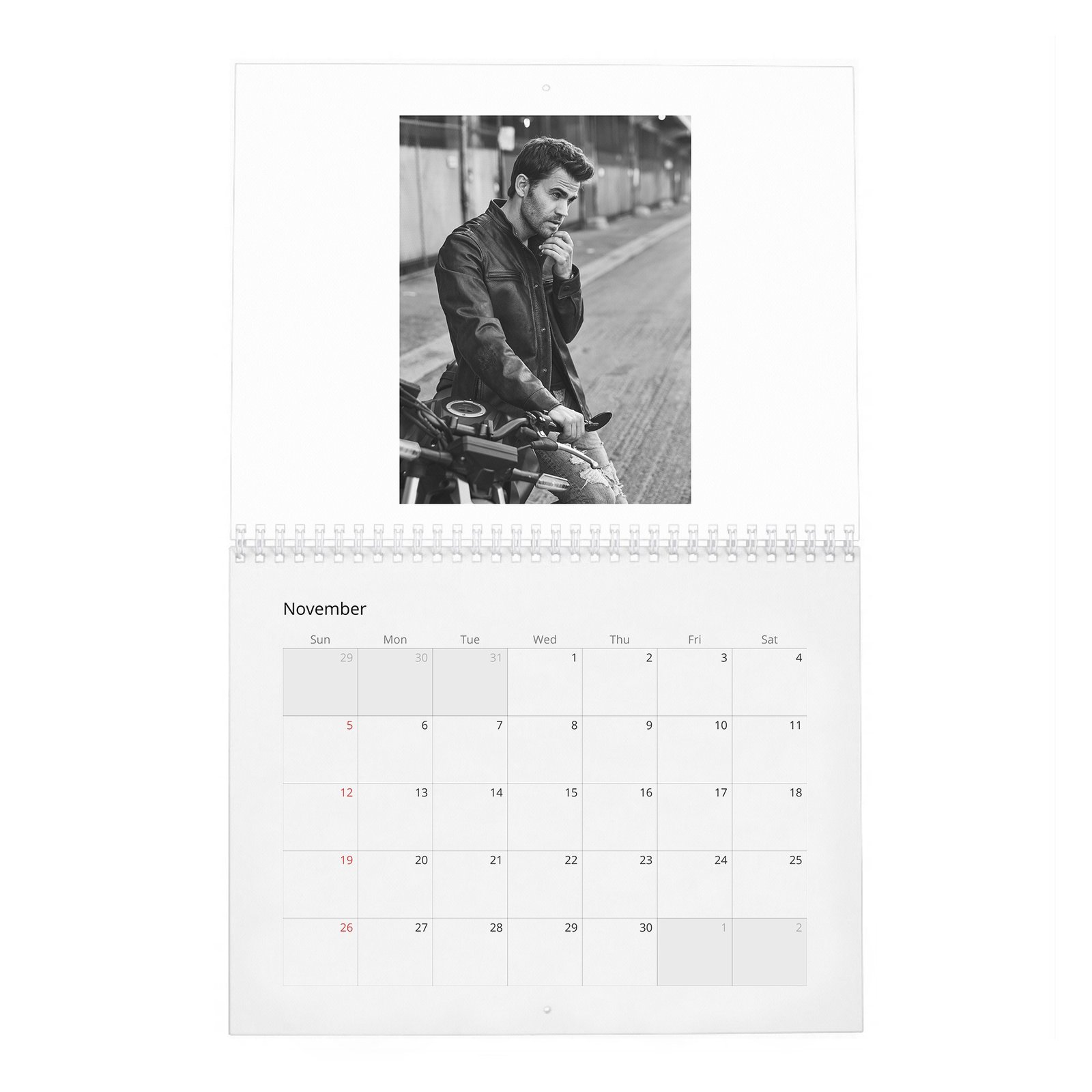 11 Paul Wesley - Handsome Devil 2027 Wall Calendar