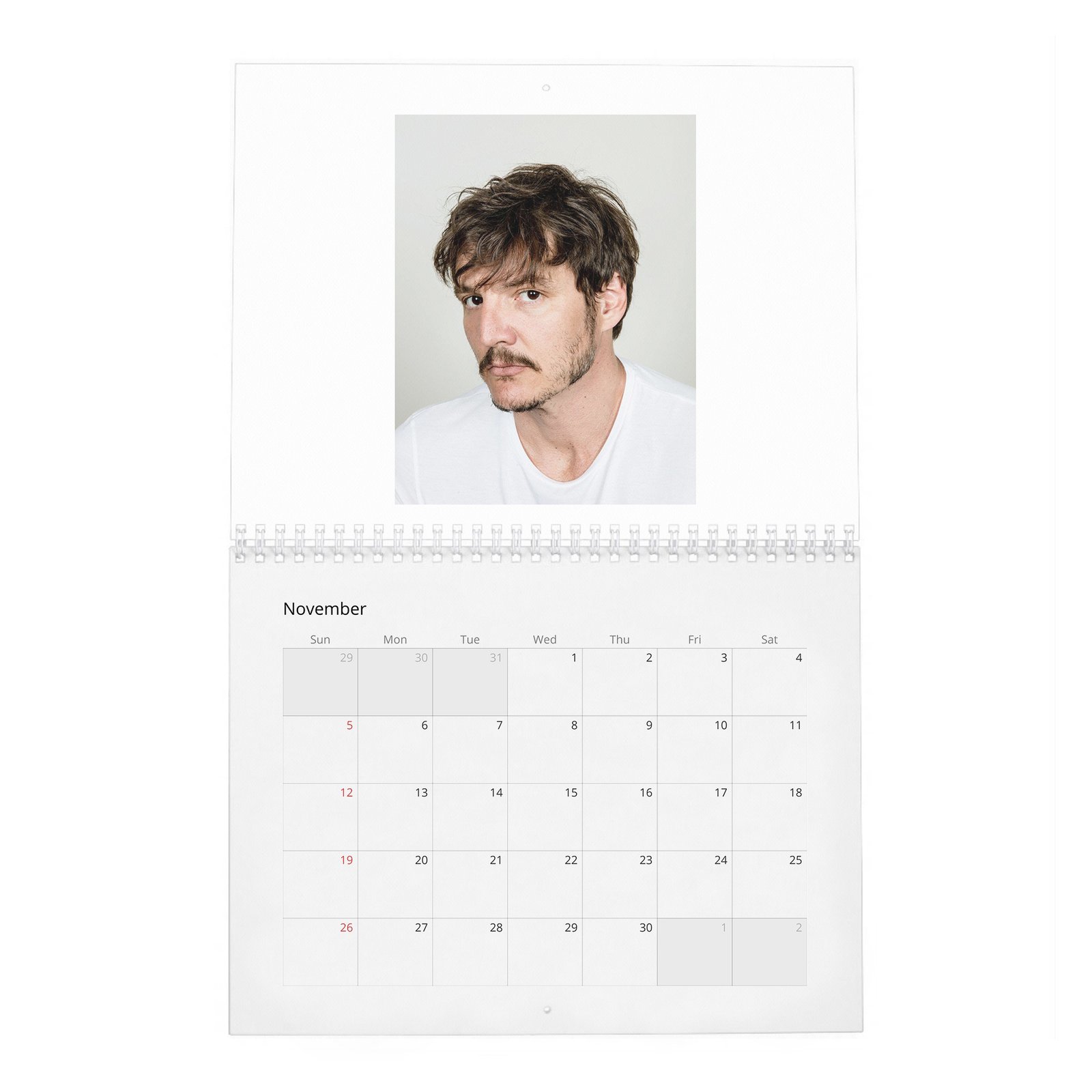 Pedro Pascal - Bad Hombre 2027 Wall Calendar