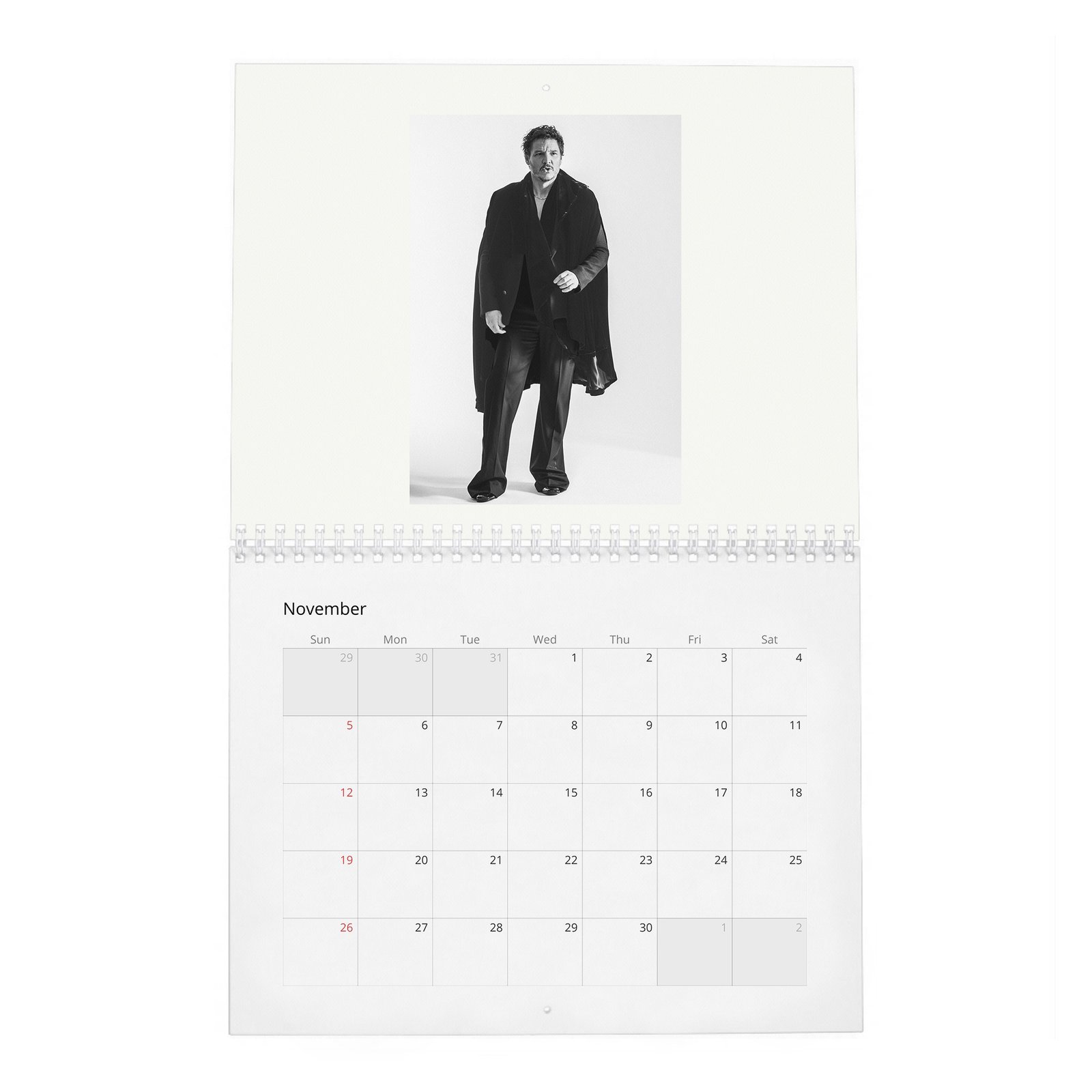 11 Pedro Pascal - Flaunt 2027 Wall Calendar
