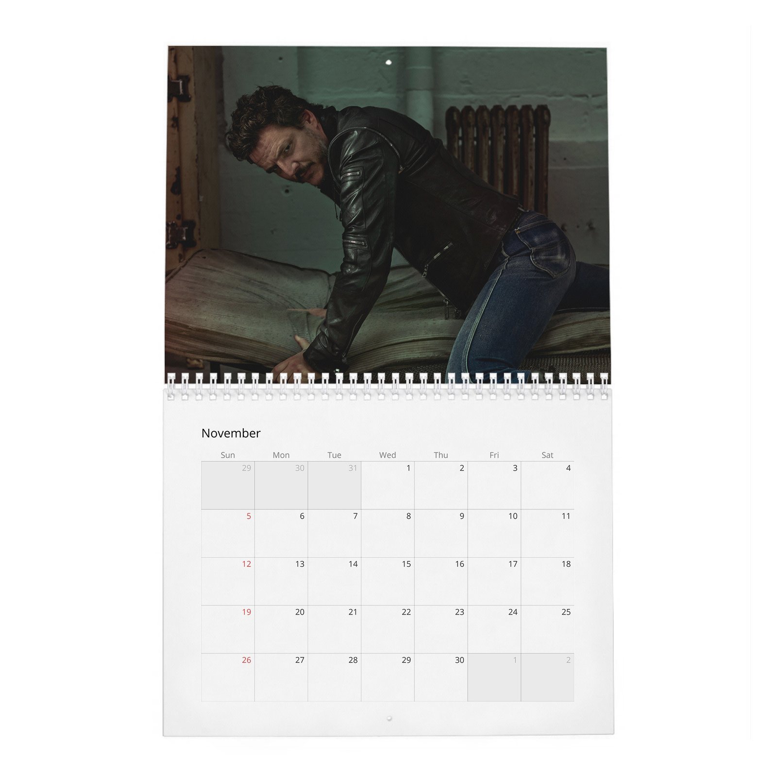 11 Pedro Pascal - The Dangerously Charming 2027 Wall Calendar