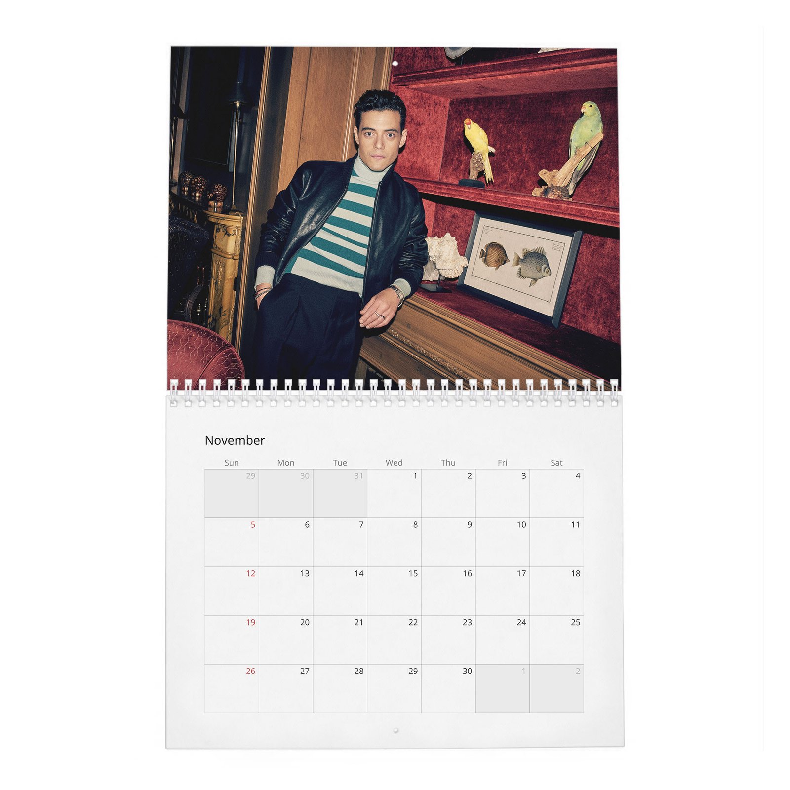Rami Malek - Without Limits 2027 Wall Calendar