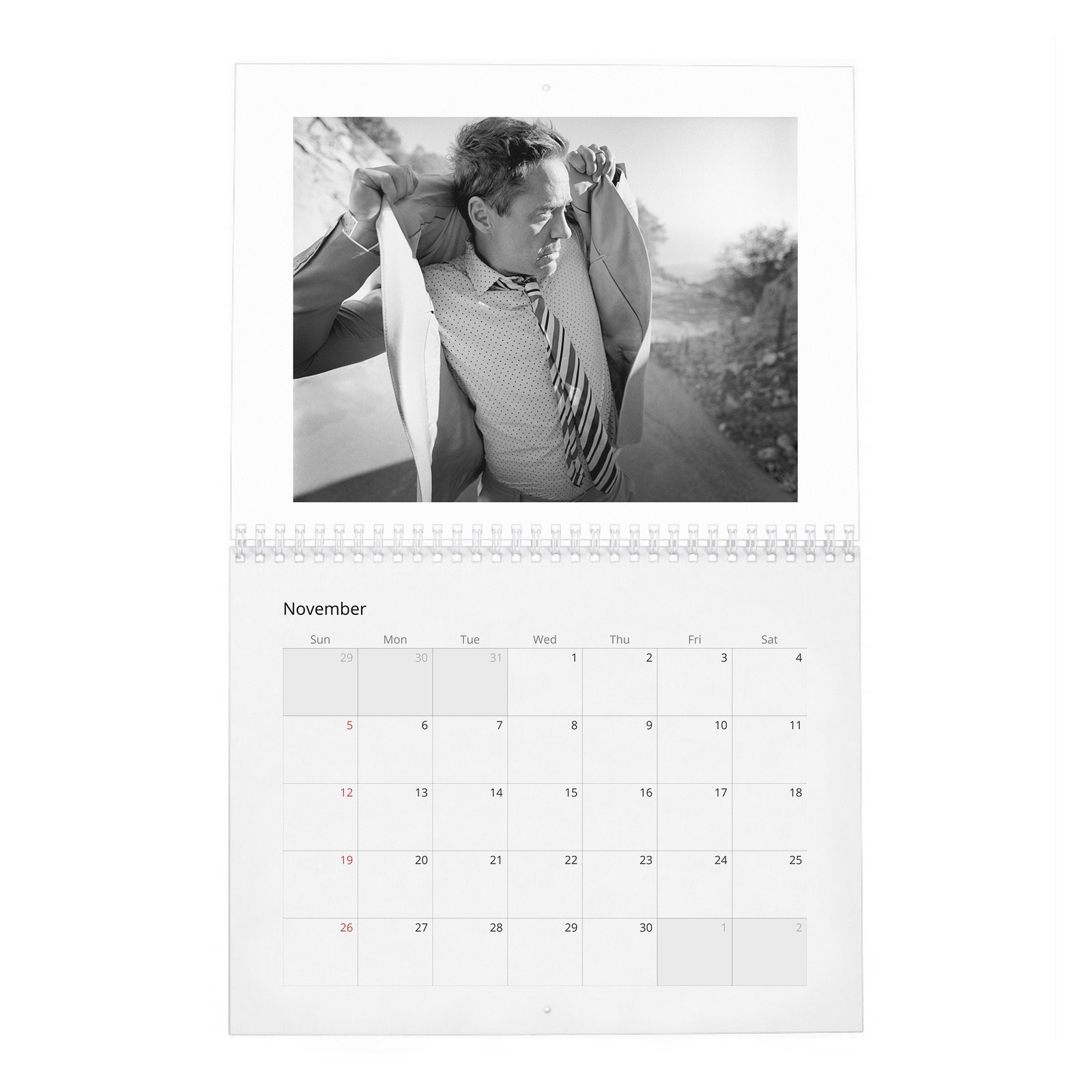 11 Robert Downey Jr. - The Complete 2027 Wall Calendar