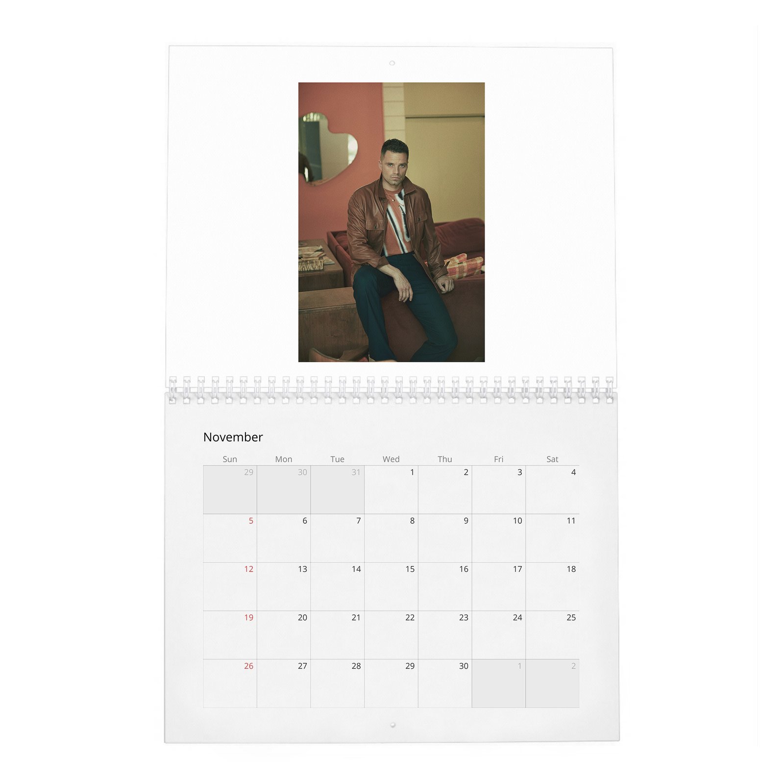11 Sebastian Stan - Dives Deep 2027 Wall Calendar