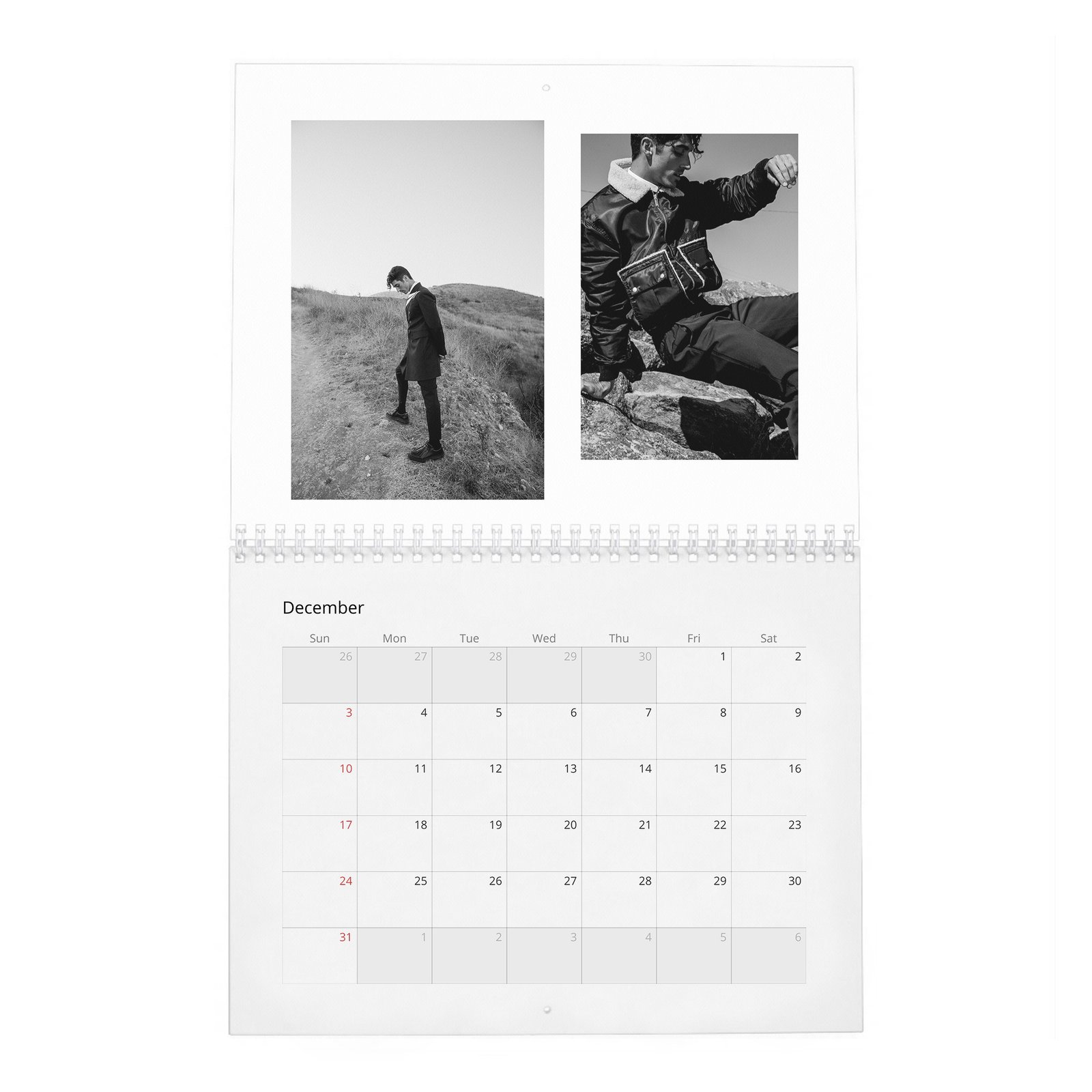Taylor Zakhar Perez - Content 2027 Wall Calendar