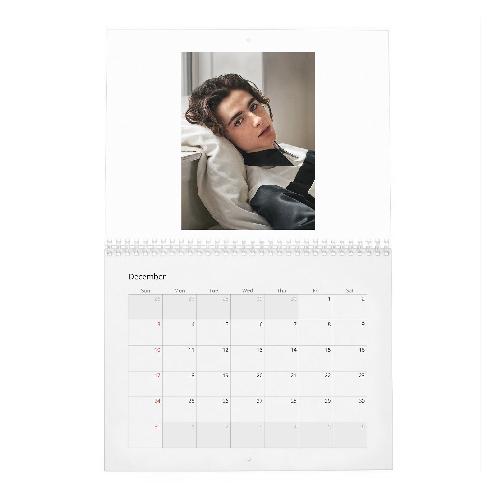 12 Timothée Chalamet - A Day In The Life Of 2027 Wall Calendar