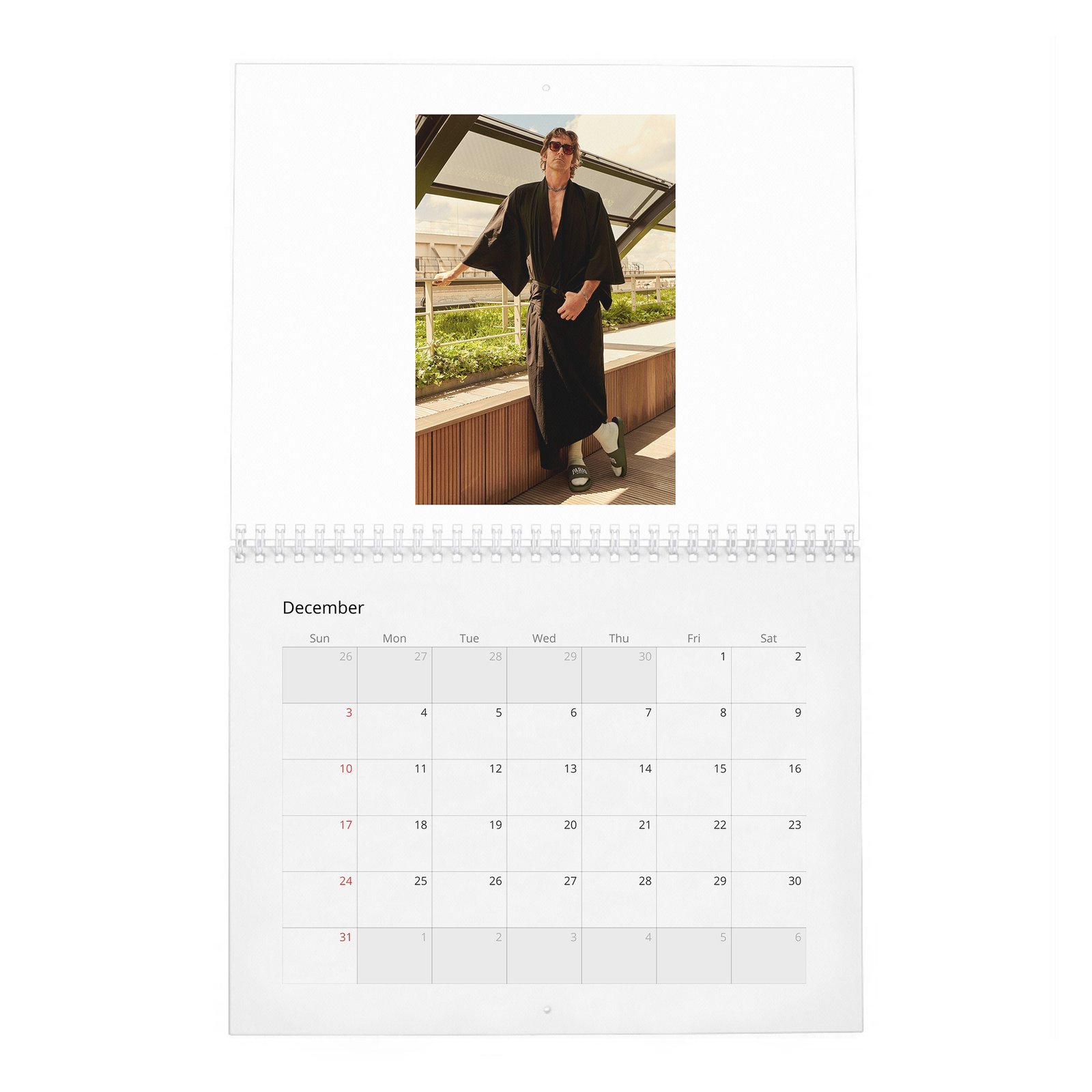 12 Lee Pace - Doesn't Owe You Anything 2027 Wall Calendar
