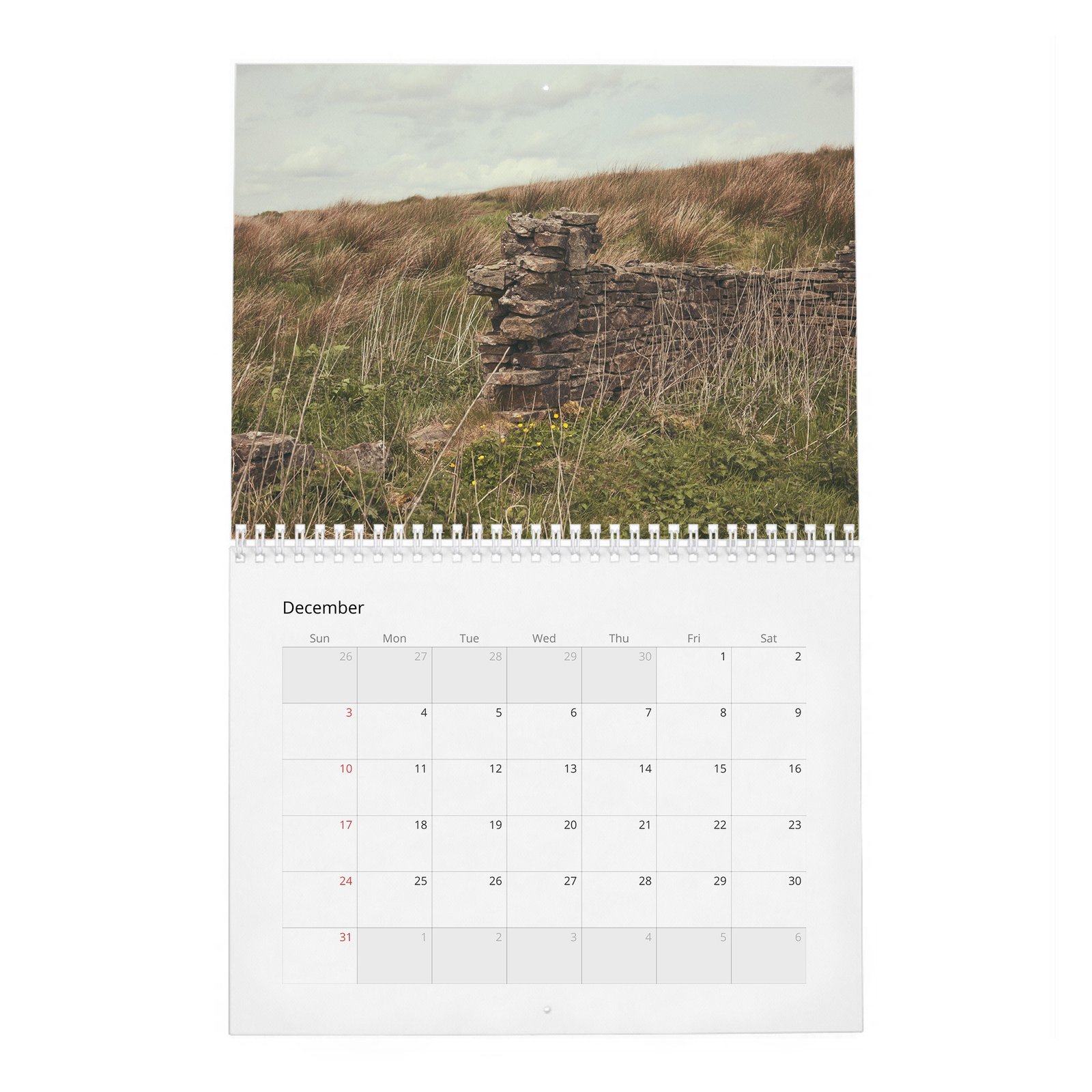 12 Lena Headey - Last Woman Stnading 2027 Wall Calendar