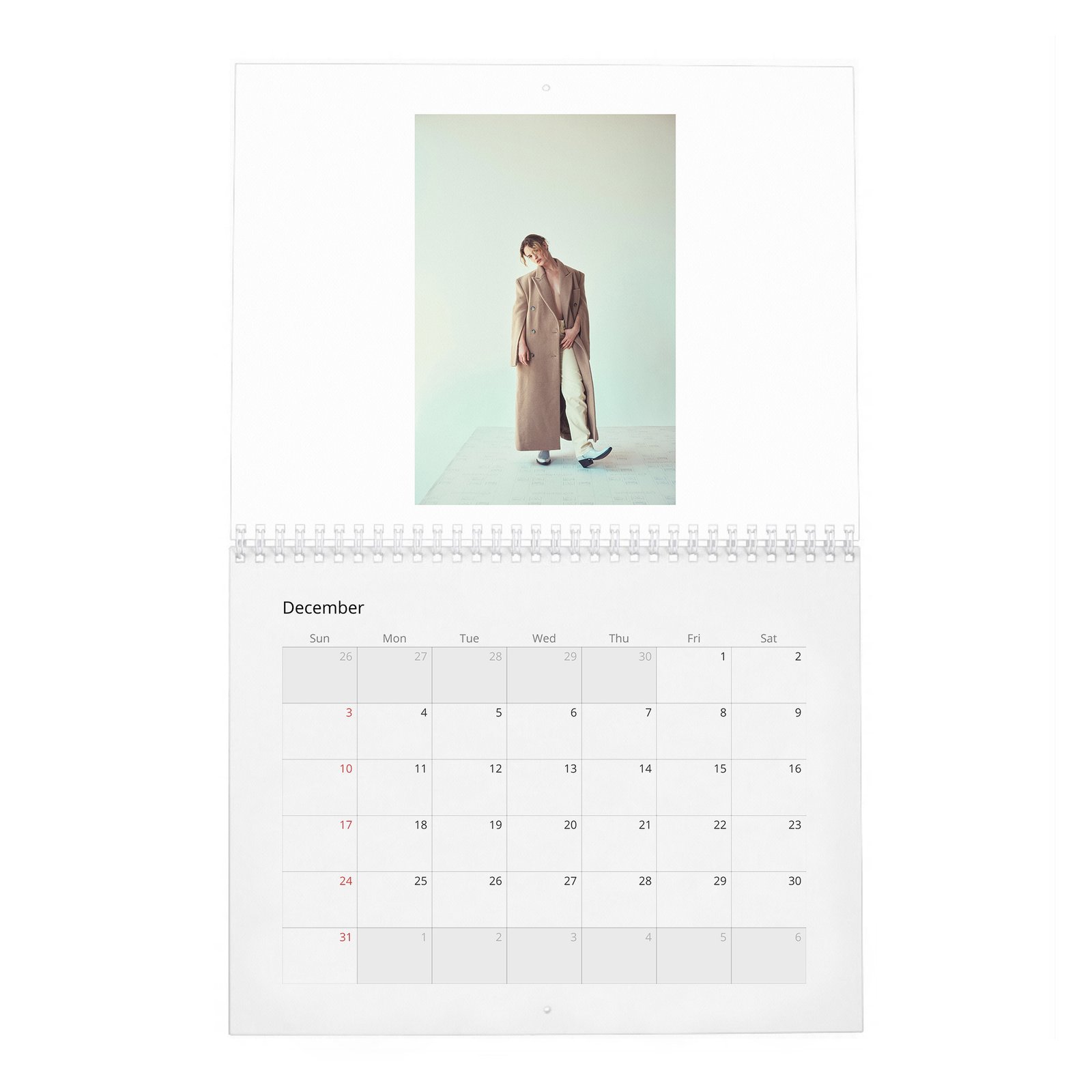 12 Lily James - Loving Lily 2027 Wall Calendar