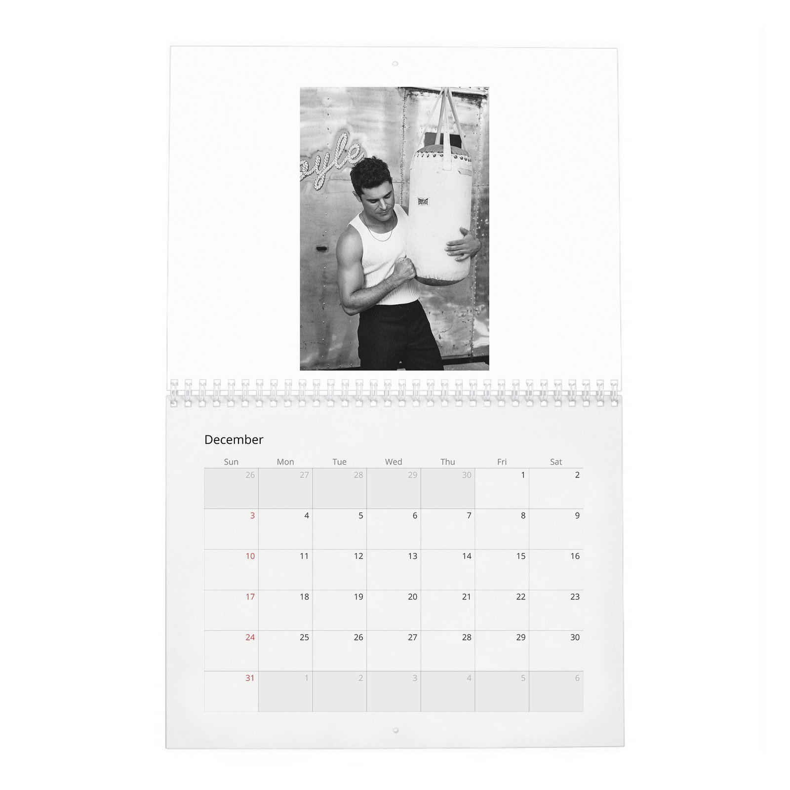 12 Zac Efron - The Ringmaster 2027 Wall Calendar