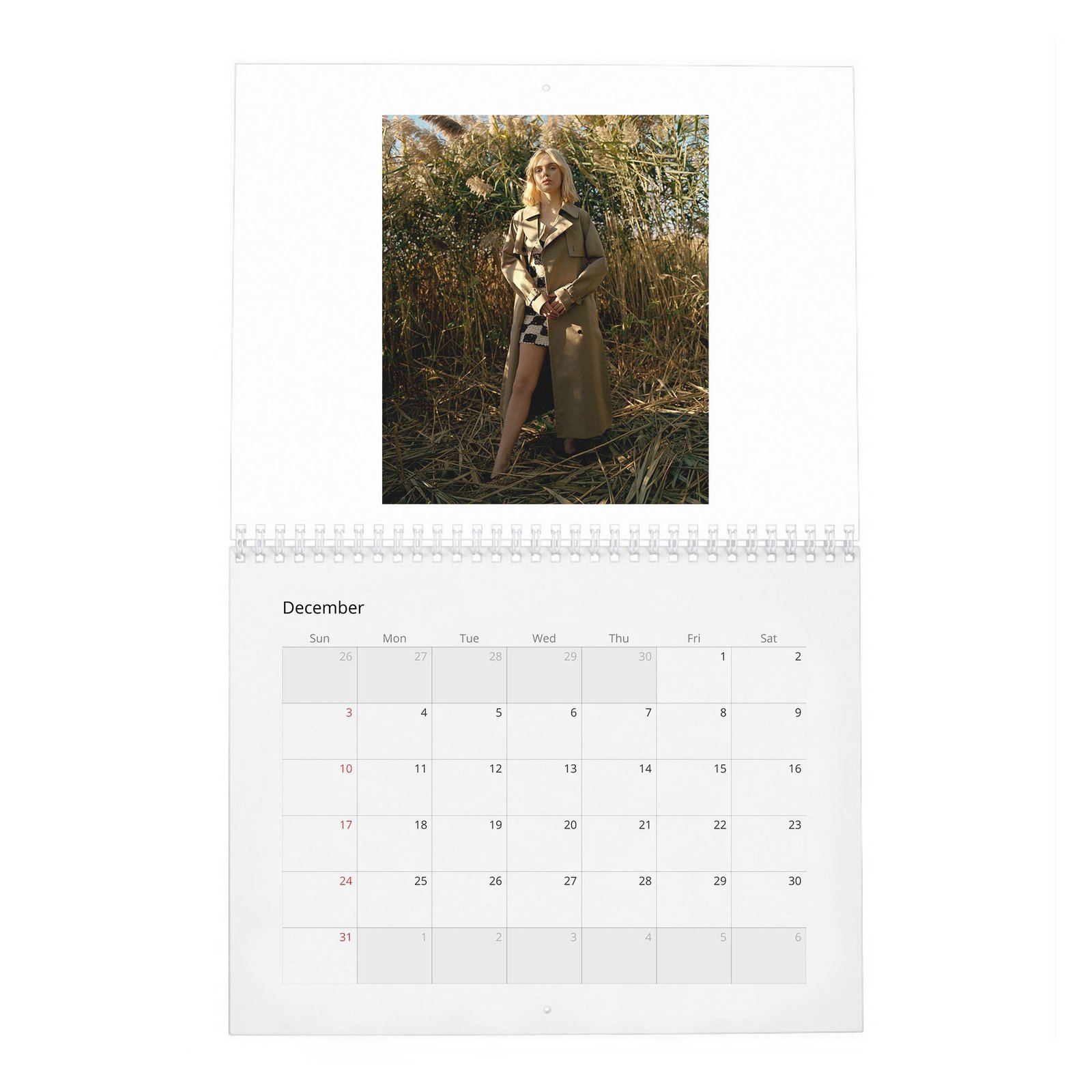 Odessa Young - The Quiet Heroine 2027 Wall Calendar