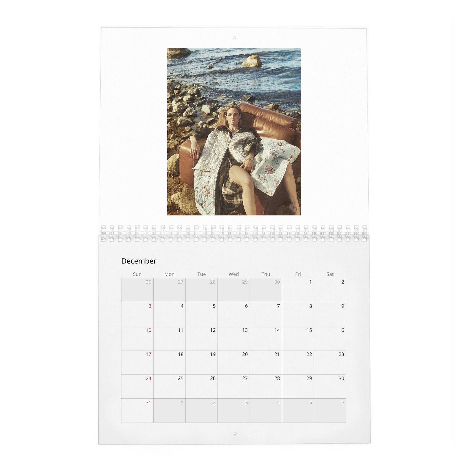 12 Rebecca Ferguson - Personal Vices and Swedish Roots 2027 Wall Calendar