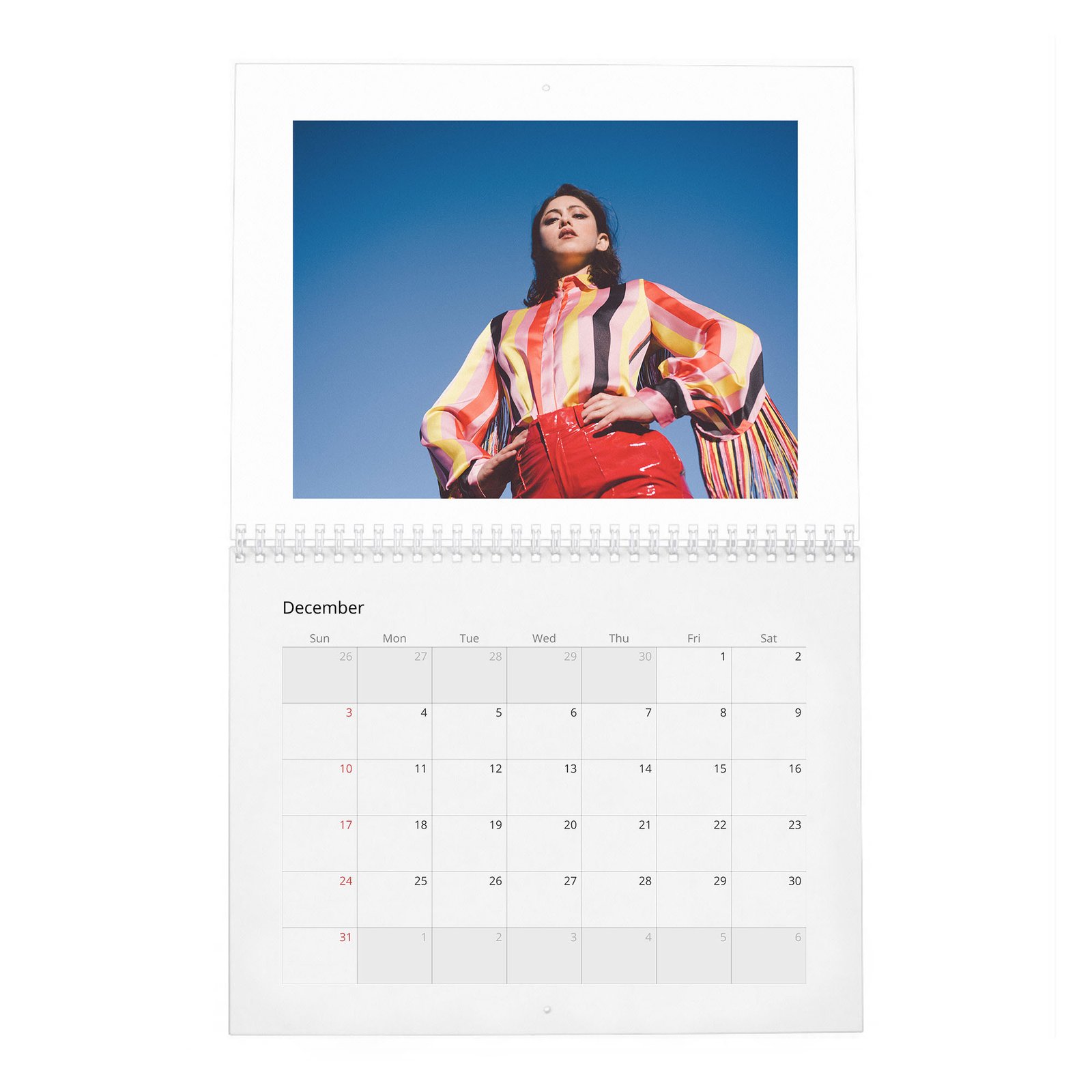 12 Rosa Salazar - A New Cherry Flavor 2027 Wall Calendar