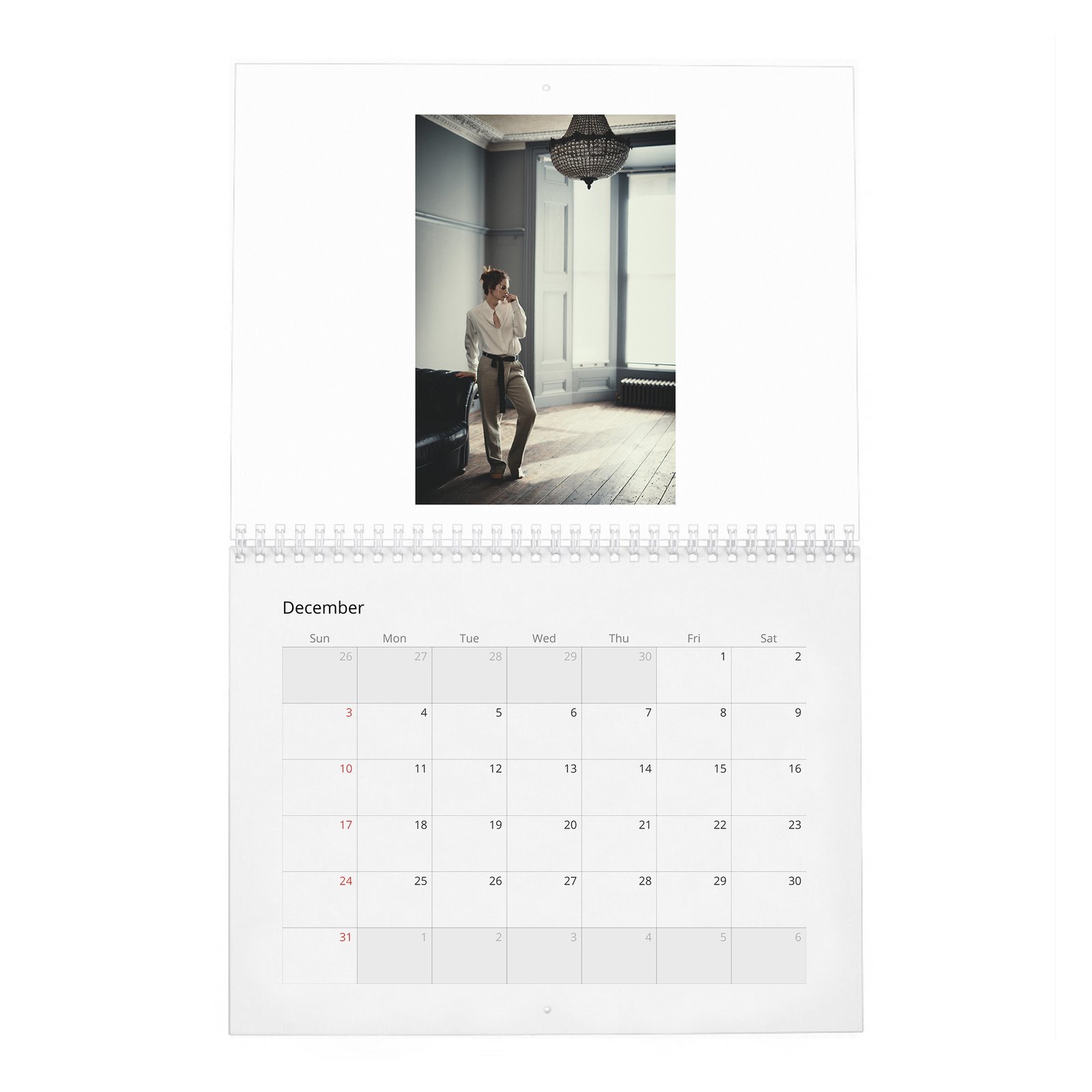 12 Ruth Wilson - A Single Mind 2027 Wall Calendar