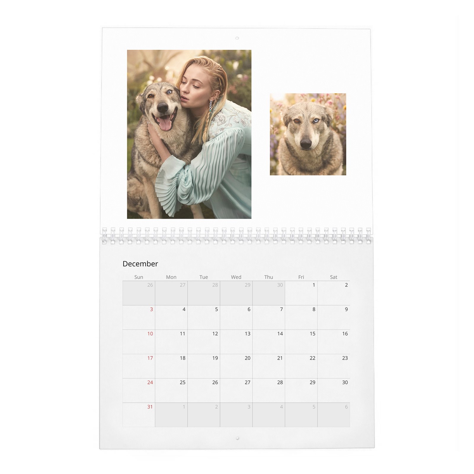 12 Sophie Turner - The Warrior Woman 2027 Wall Calendar