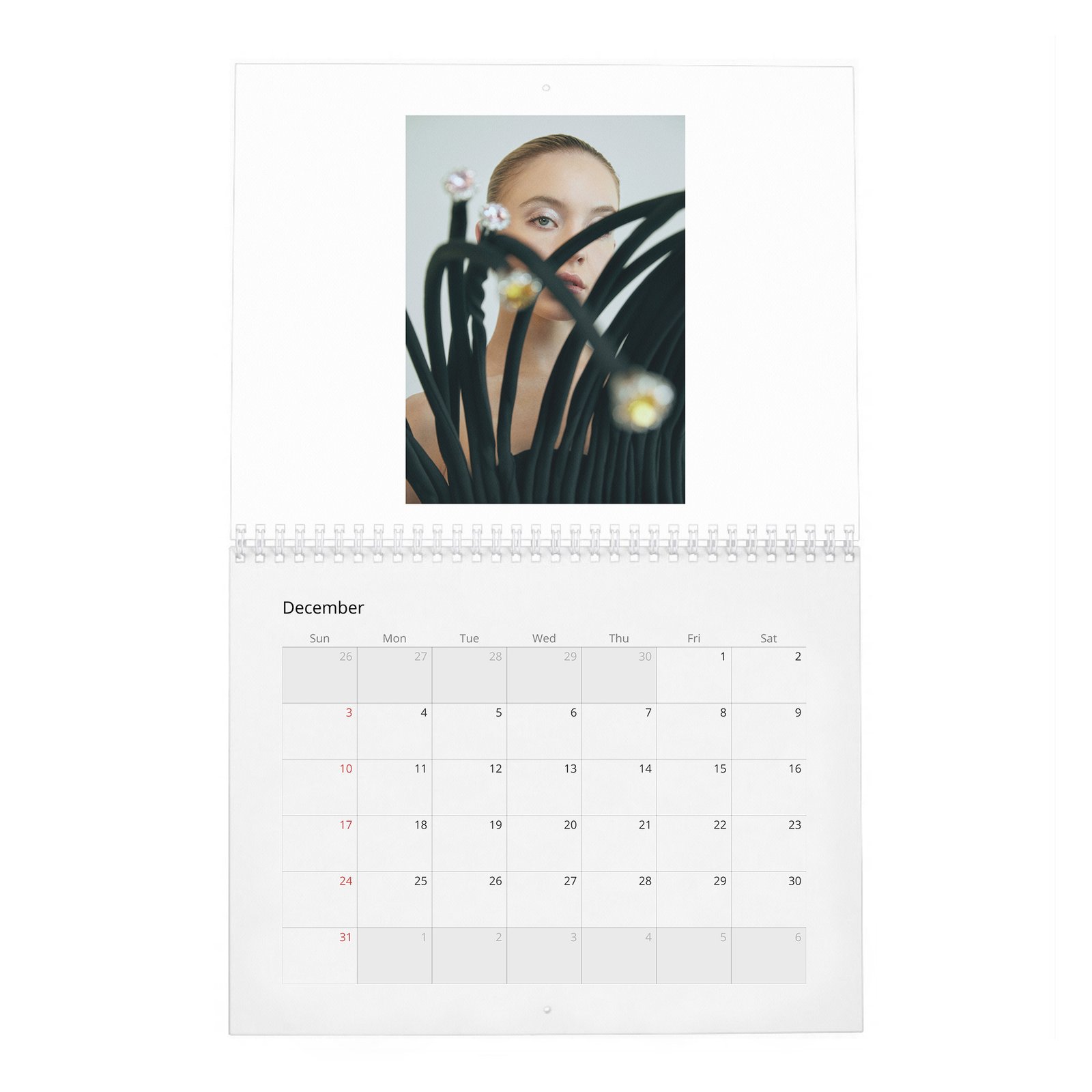 12 Sydney Sweeney - Plan A Only 2027 Wall Calendar