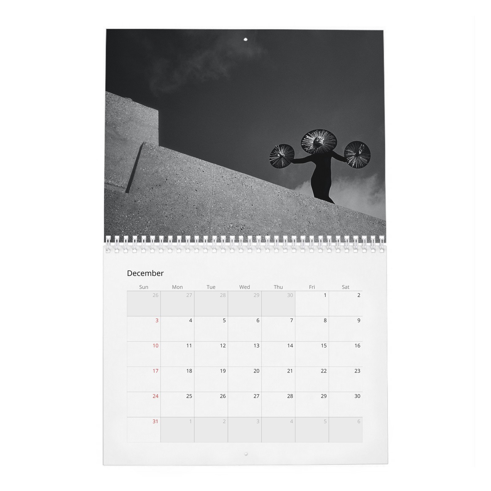 12 Zendaya - Future Human 2027 Wall Calendar
