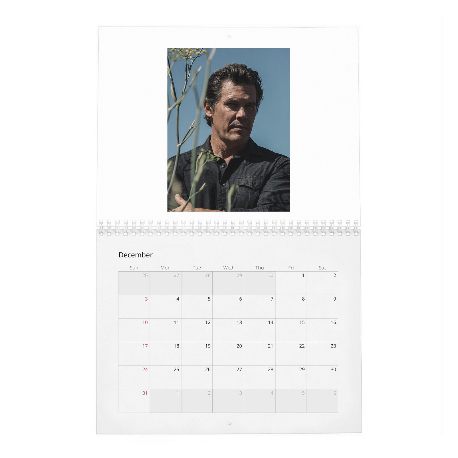 12 Josh Brolin - Man Of The World 2027 Wall Calendar