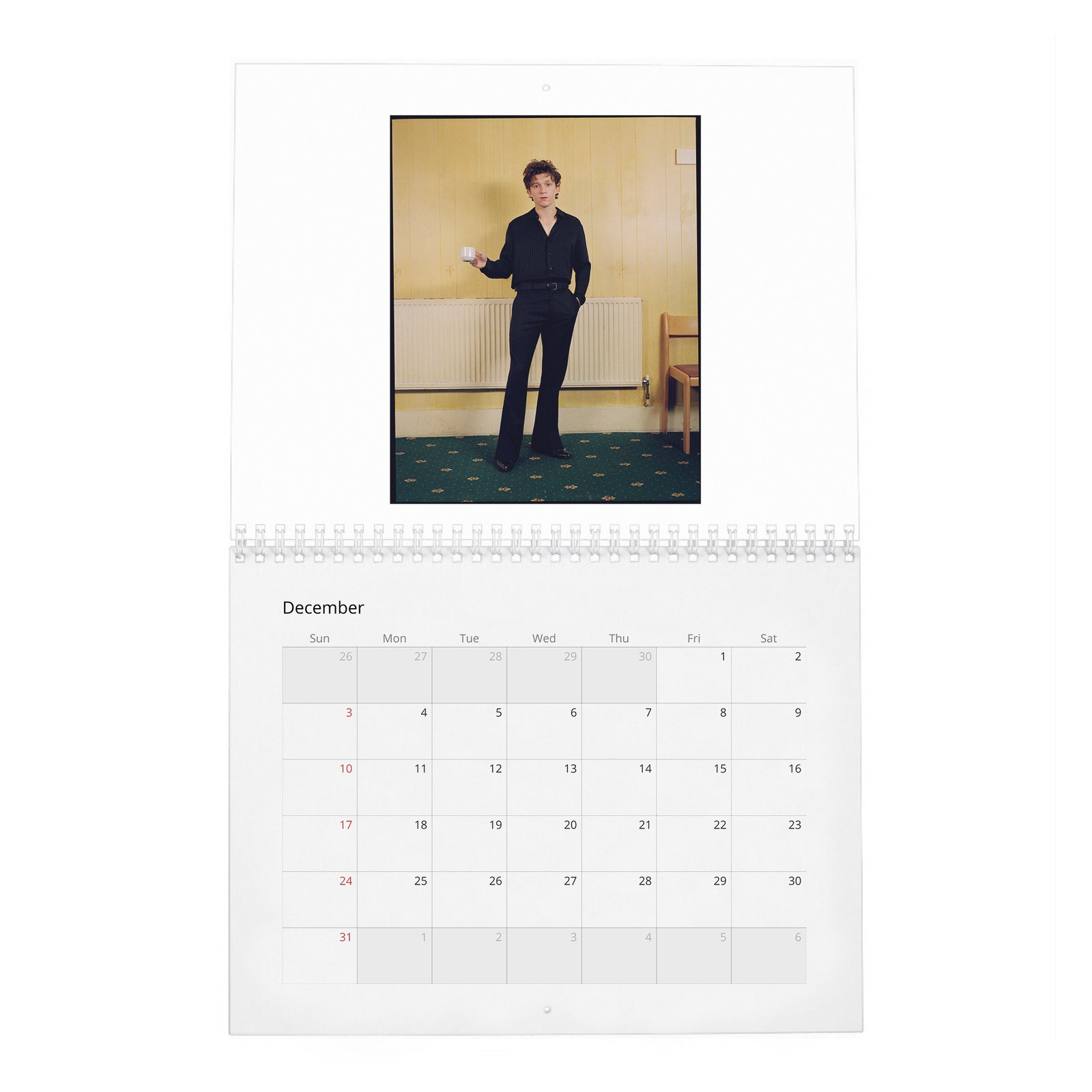 Tom Holland - The Center Of The Web 2027 Wall Calendar