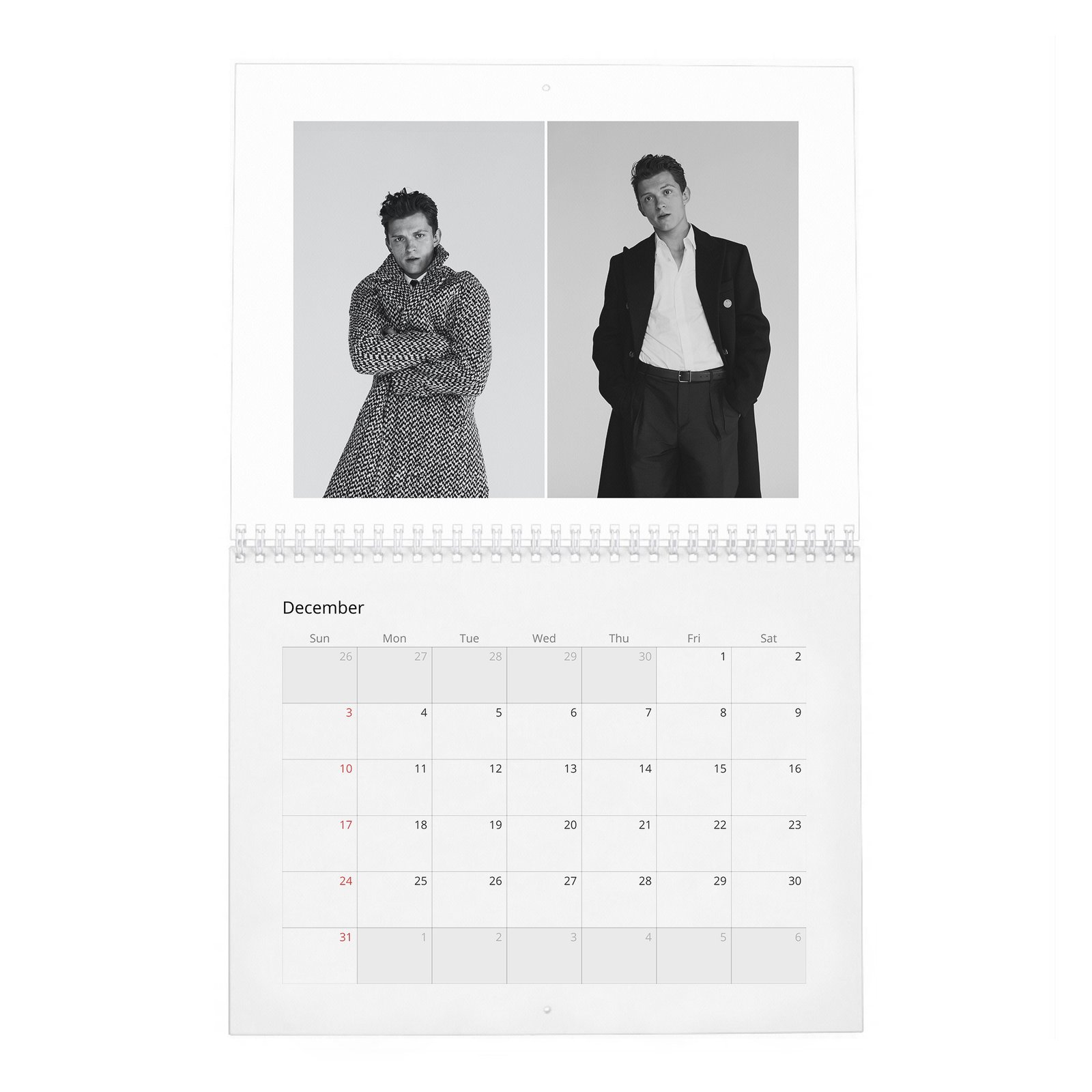 Tom Holland - Braces For Impact 2027 Wall Calendar