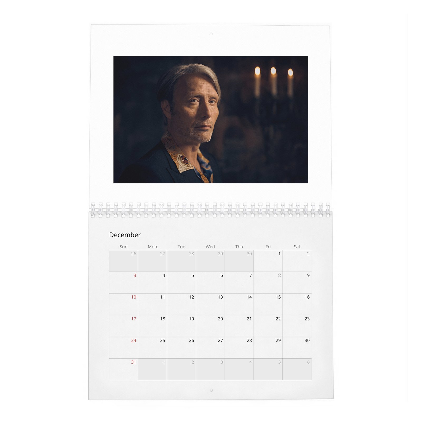 Mads Mikkelsen - The Great Dane 2027 Wall Calendar