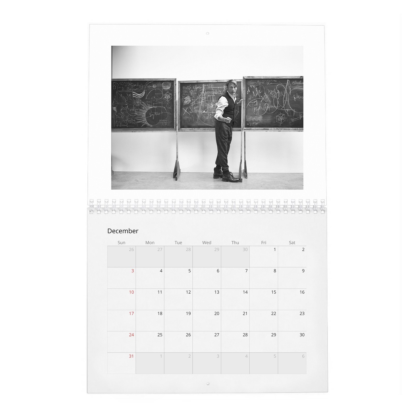 12 Mads Mikkelsen - Zoo 2027 Wall Calendar