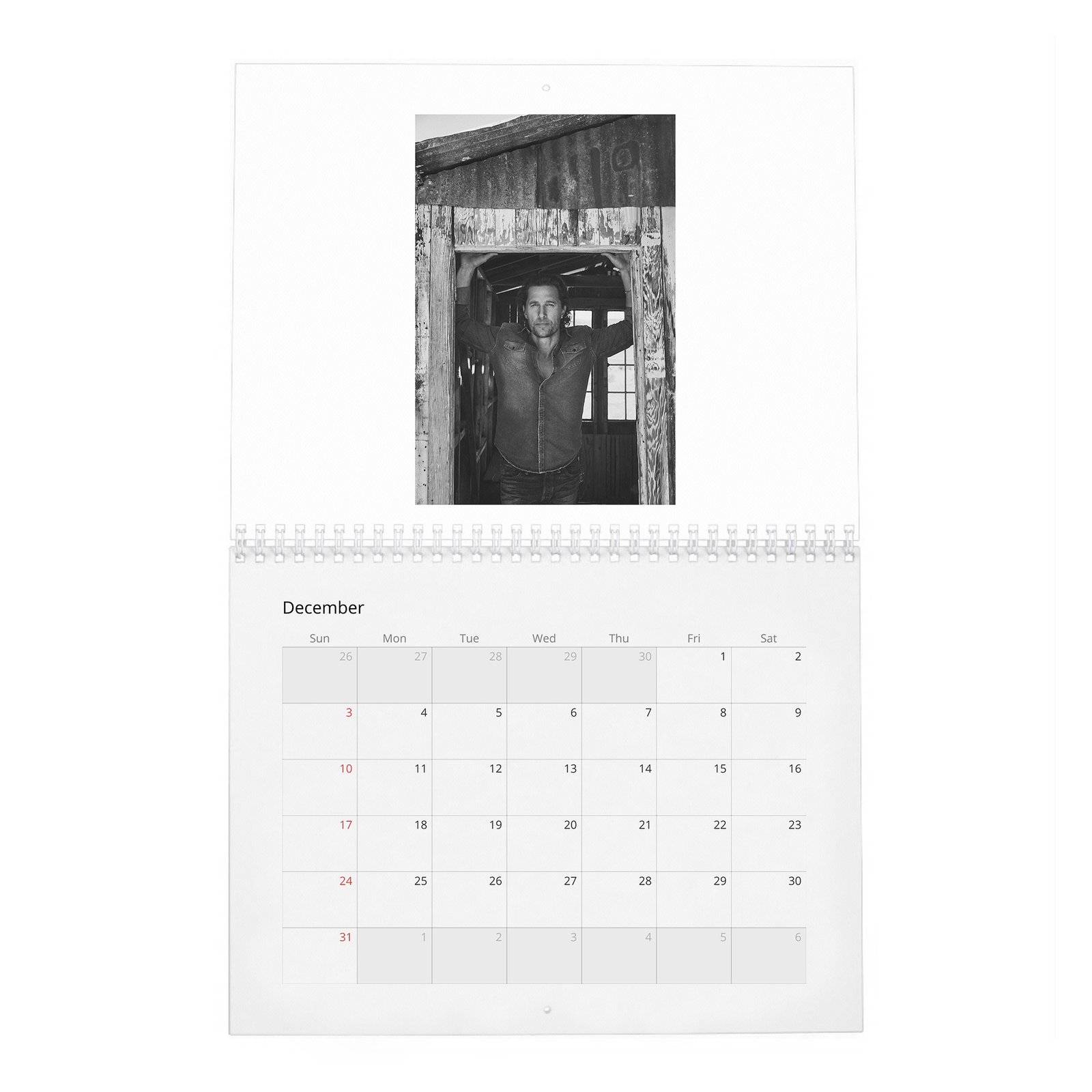 12 Matthew McConaughey - Reinvents Himself 2027 Wall Calendar