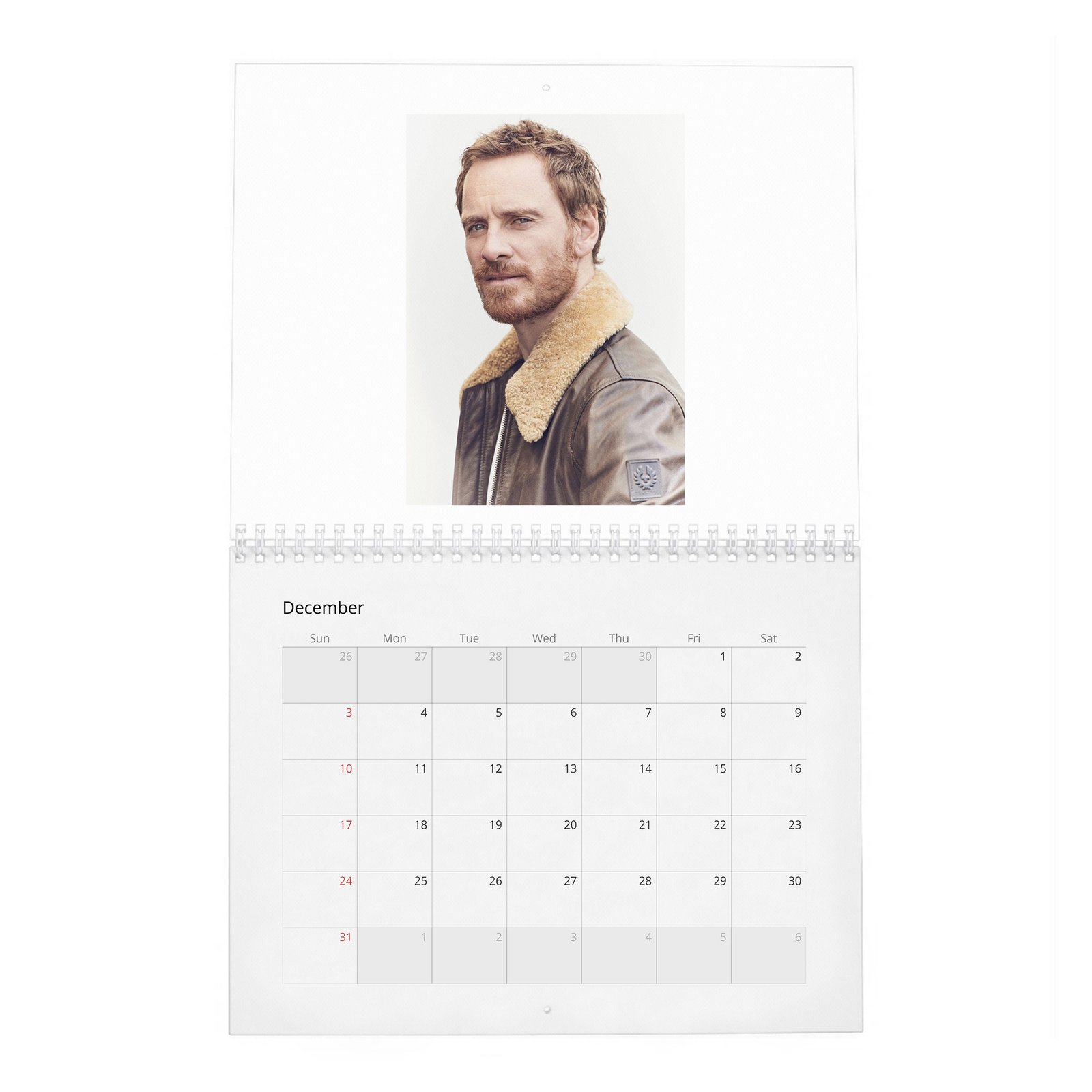 Michael Fassbender - Rules For Living 2027 Wall Calendar