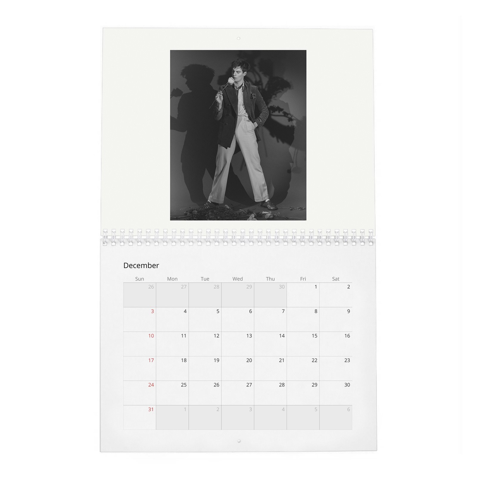 12 Nicholas Galitzine - Flaunt 2027 Wall Calendar