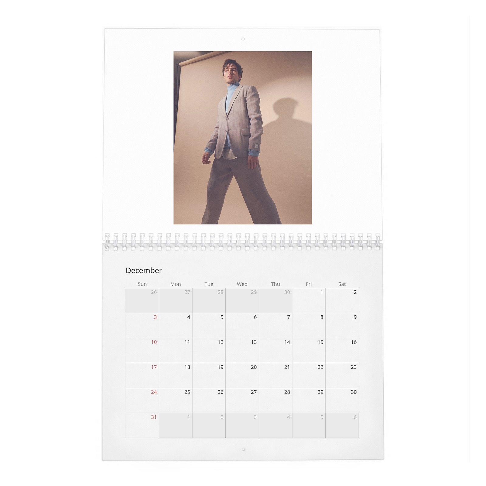 Nicholas Hoult - The Great 2027 Wall Calendar