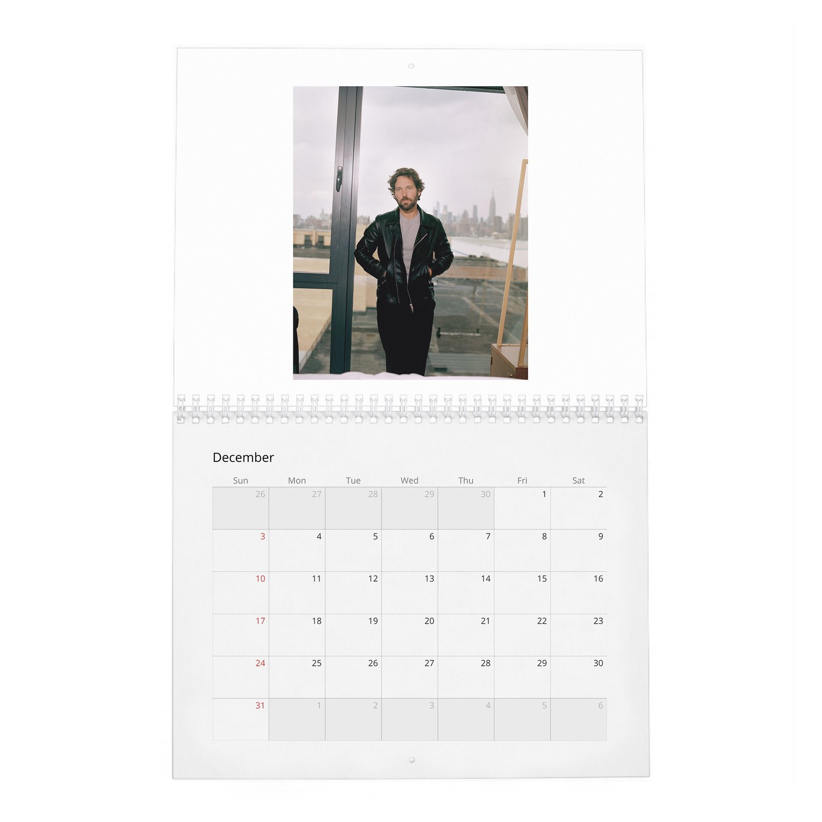 Paul Rudd - Outside His Wheelhouse 2027 Wall Calendar