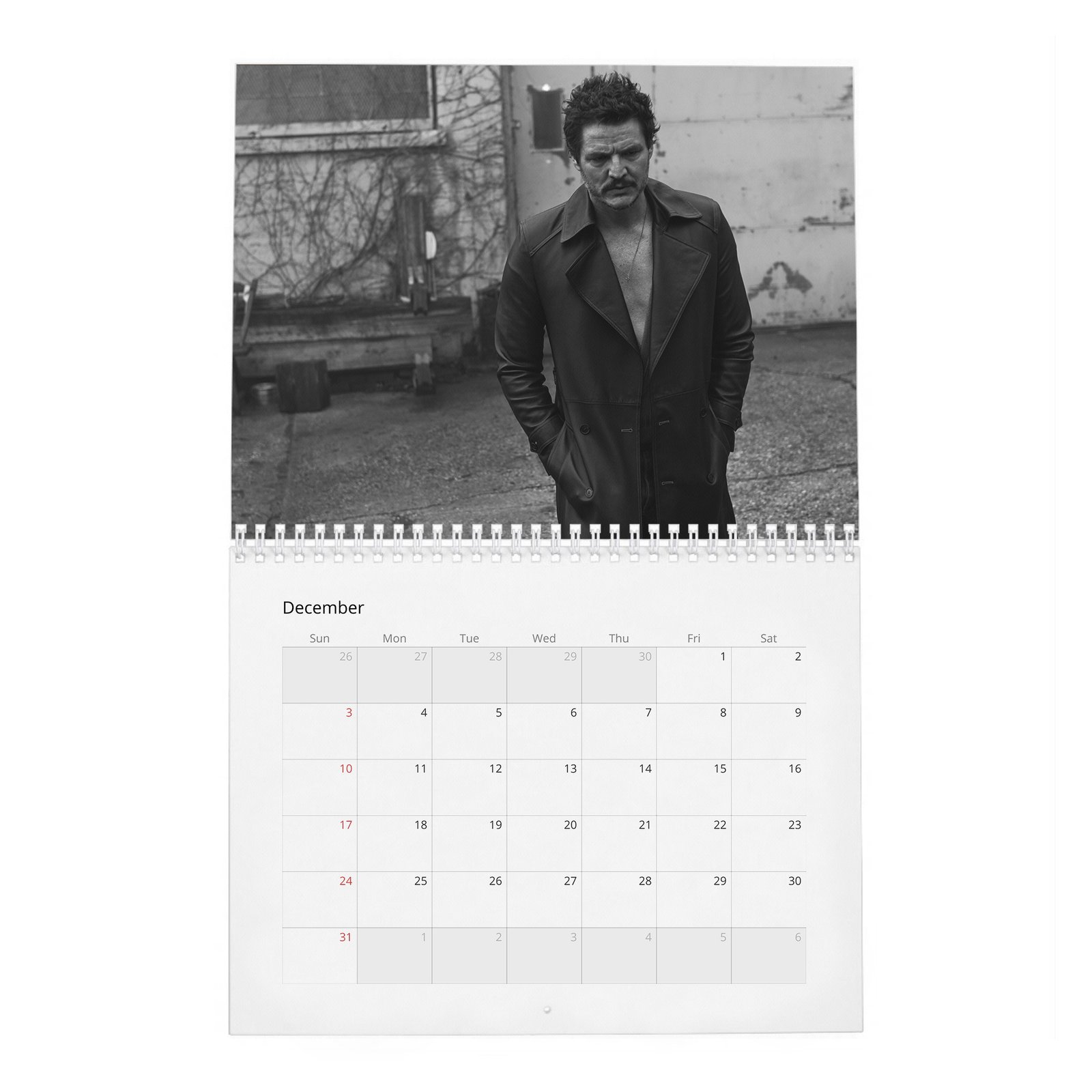 12 Pedro Pascal - The Dangerously Charming 2027 Wall Calendar