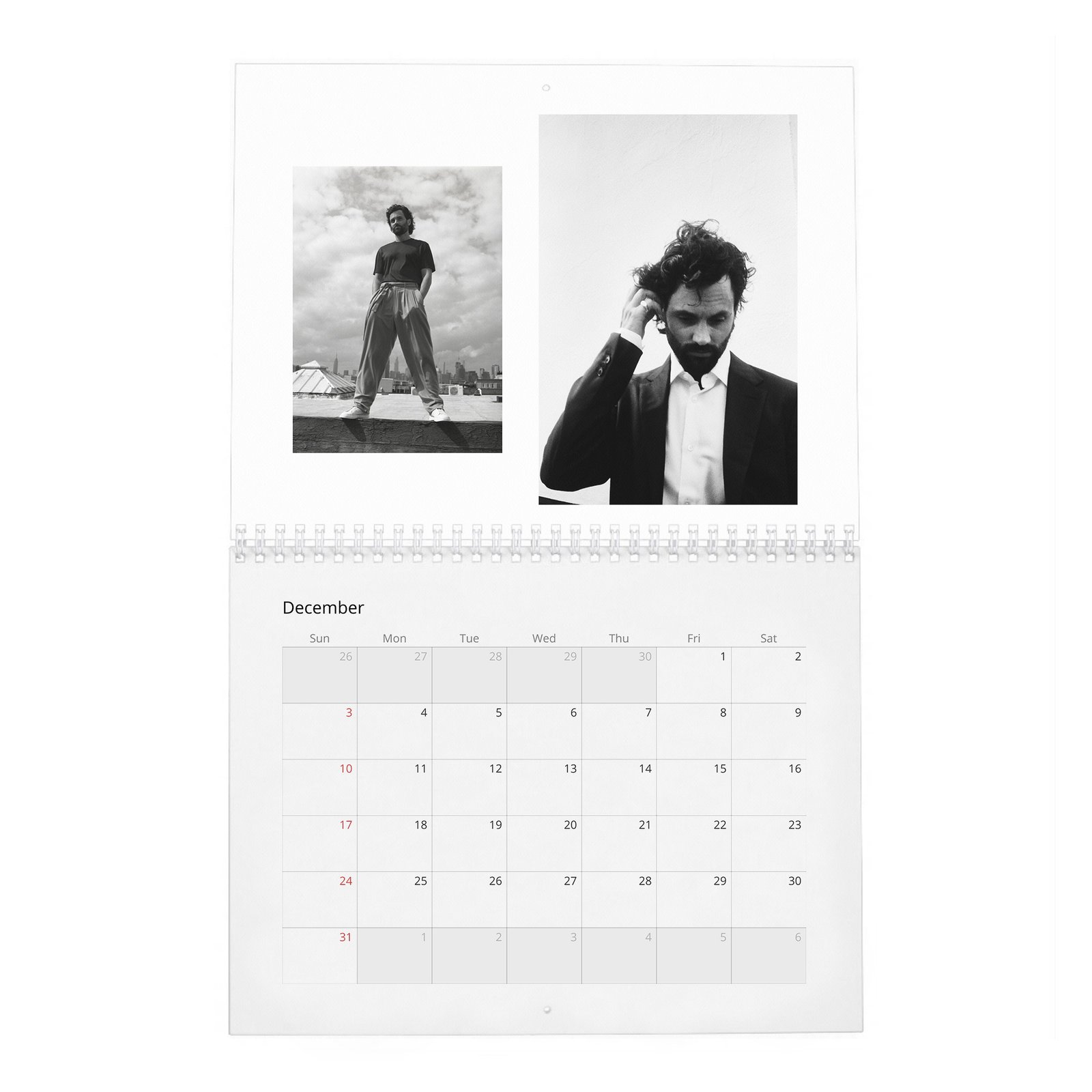 Penn Badgley - Perfect Handsome 2027 Wall Calendar