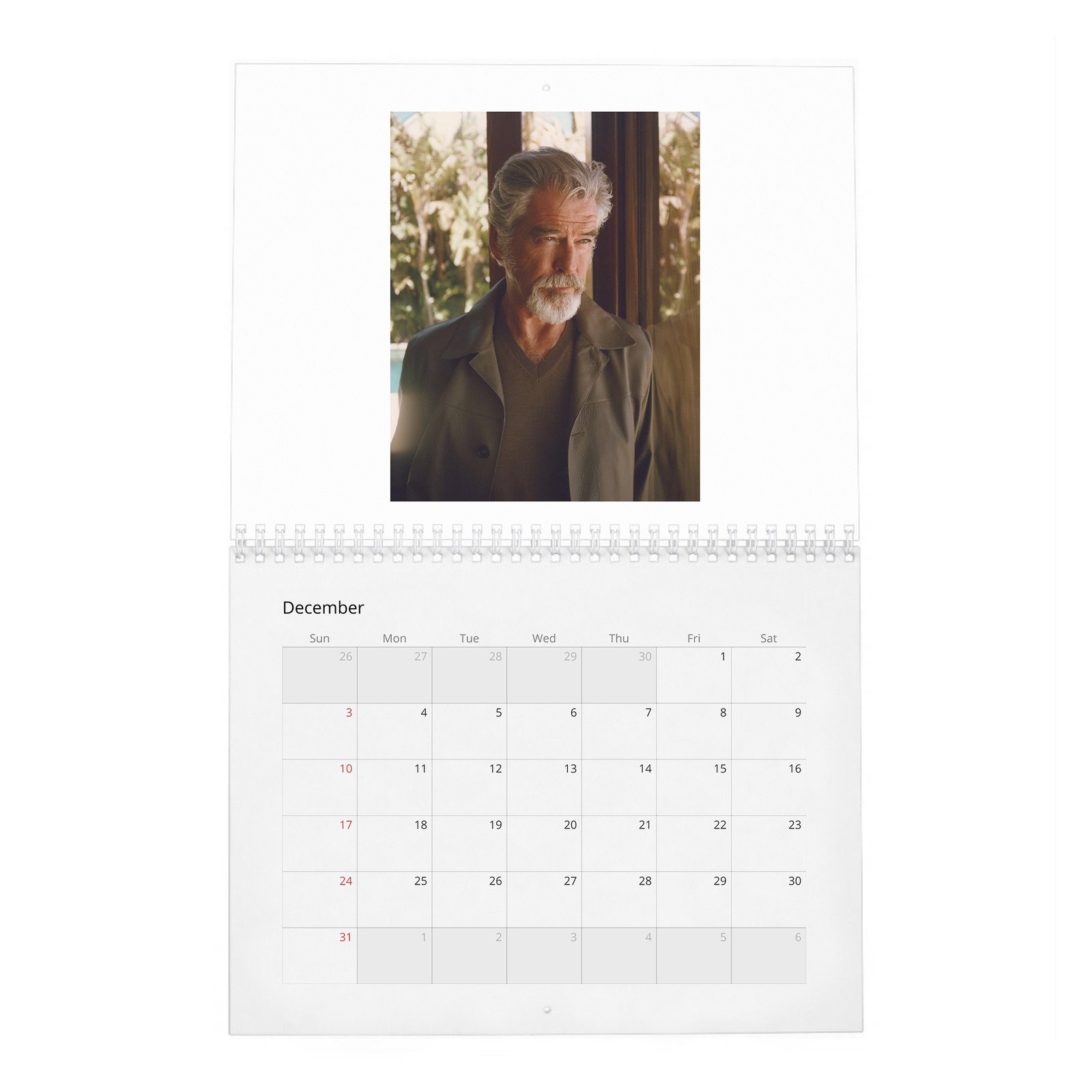 12 Pierce Brosnan - Beachy Life 2027 Wall Calendar