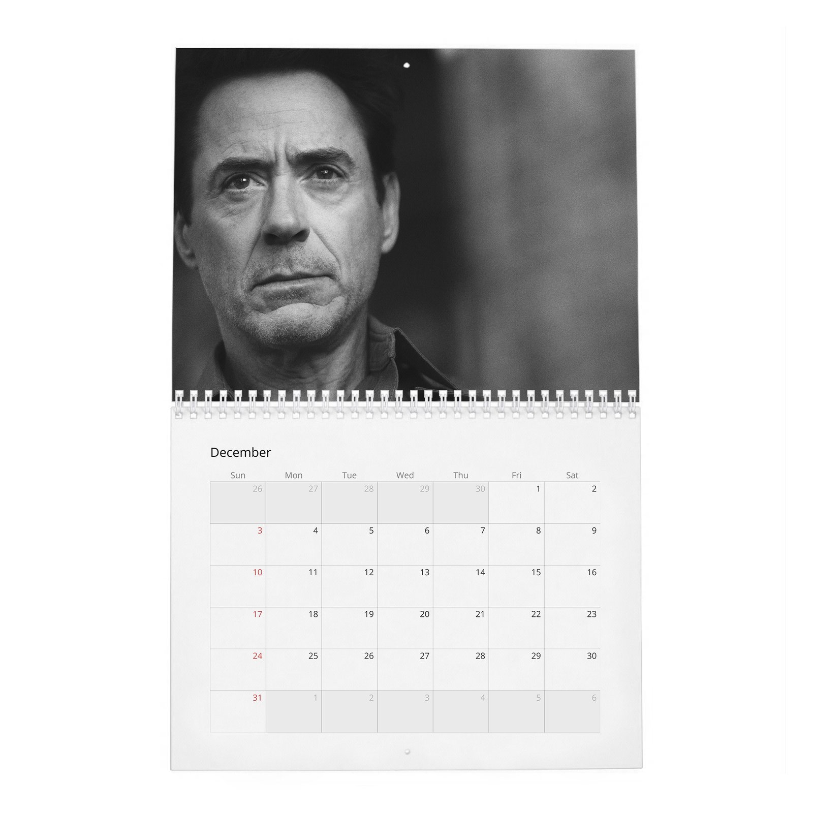 12 Robert Downey Jr. - Acts Up 2027 Wall Calendar