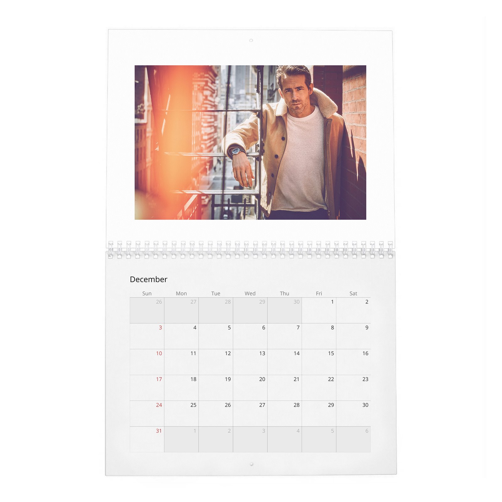 12 Ryan Reynolds - What Keeps Up At Night 2027 Wall Calendar