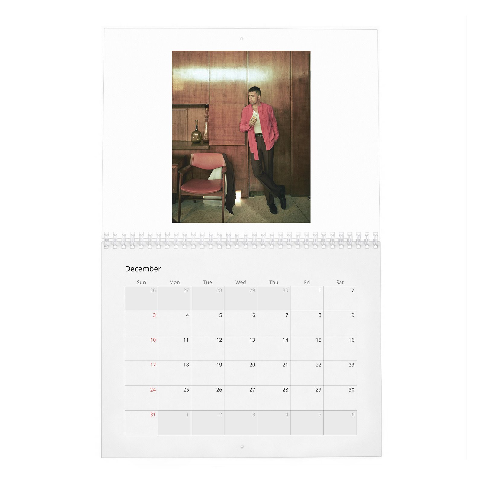 12 Sebastian Stan - Dives Deep 2027 Wall Calendar